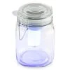 Wetterfrosch LED-Stimmungslicht Gelb/blau Einweckglas Solar Akku 2 Wetterfrosch LED-Stimmungslicht Gelb/blau Einweckglas Solar Akku -Online Gartenbedarf 10030097 yy 0001 titel oneConcept Wetterfrosch Solarlicht LED Glas
