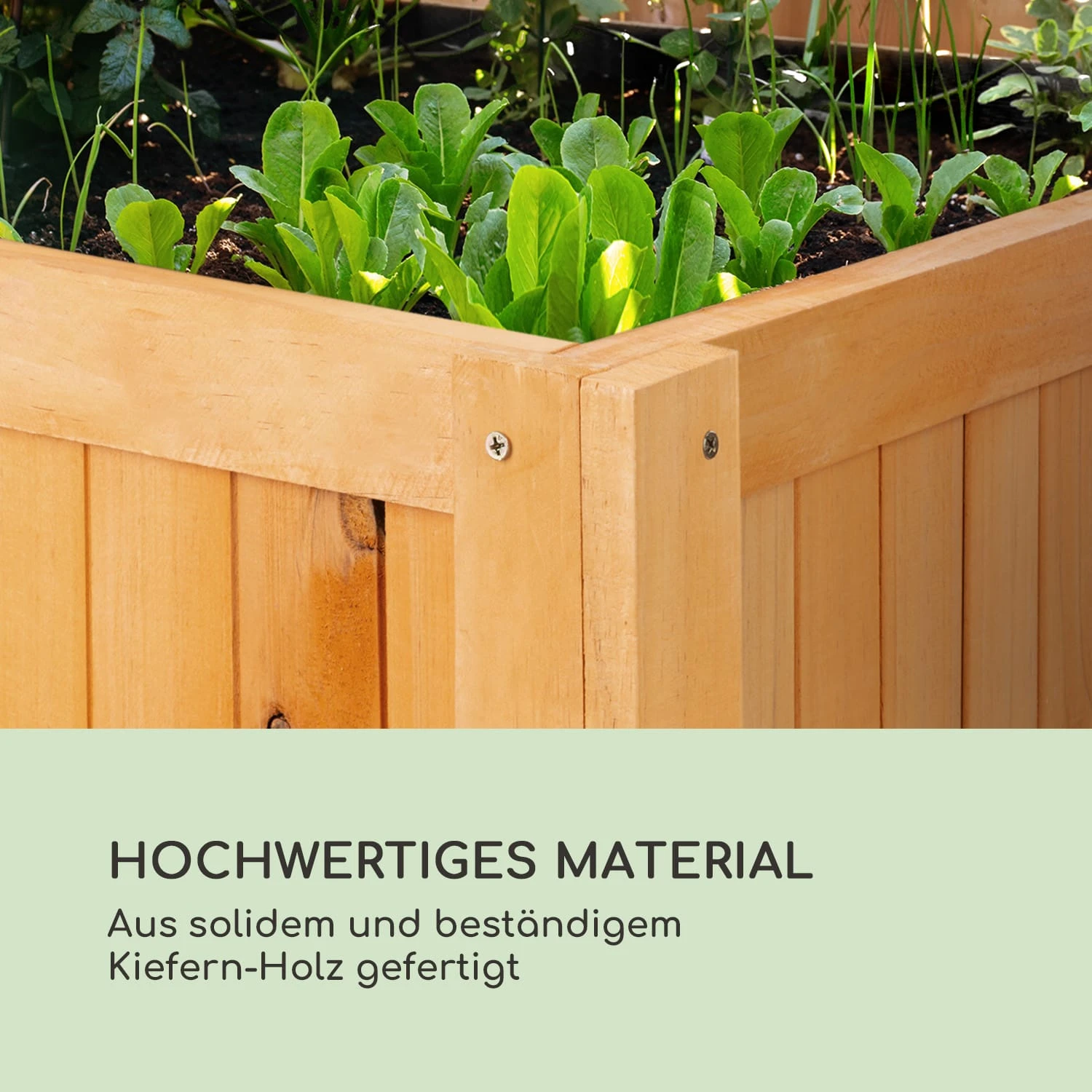 Altiplano Cubic Hochbeet 100 X 100 X 50 Kiefer Gartenvlies ErgoGrow 8 Altiplano Cubic Hochbeet 100 X 100 X 50 Kiefer Gartenvlies ErgoGrow – Bild 6