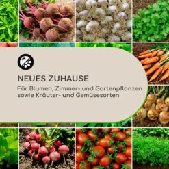 Winegrow Pflanzgefäß 52,5 X 31,5 Cm (ØxH) Leicht Fibreclay Grau -Online Gartenbedarf 10034811 de 0003 logo