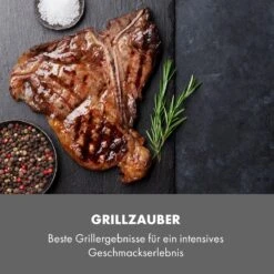 Steakreaktor Core Indoor Grillgerät Hochtemperaturgrill 2100W 800°C -Online Gartenbedarf 10035085 de 0007 logo