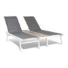 Pompei Sonnenliege Lounger 2 Pers. Aluminium Abstellfläche -Online Gartenbedarf 10035986 yy 0001 titel