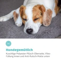 Finn Hundebett Waschbar Rutschfest Atmungsaktiv PE / Vlies Größe L -Online Gartenbedarf 10037526 de 0003 logo