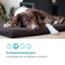 Luna Hundebett Waschbar Orthopädisch Rutschfest Memory-Schaum Größe M -Online Gartenbedarf 10037538 de 0002 logo