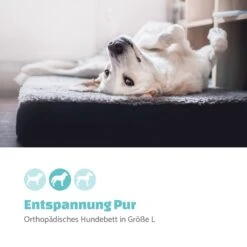 Paco Hundebett Waschbar Orthopädisch Rutschfest Atmungsaktiv Größe L 10 Paco Hundebett Waschbar Orthopädisch Rutschfest Atmungsaktiv Größe L -Online Gartenbedarf 10037573 de 0002 logo