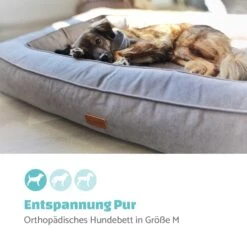Bruno Hundebett Hundekorb | Waschbar | Orthopädisch | Rutschfest | Atmungsaktiv | Memory-Schaum | Größe M (80 X 17 X 55 Cm) -Online Gartenbedarf 10037582 de 0002 logo