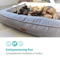 Bruno Hundebett Hundekorb | Waschbar | Orthopädisch | Rutschfest | Atmungsaktiv | Memory-Schaum | Größe L (100 X 17 X 70 Cm) -Online Gartenbedarf 10037583 de 0002 logo