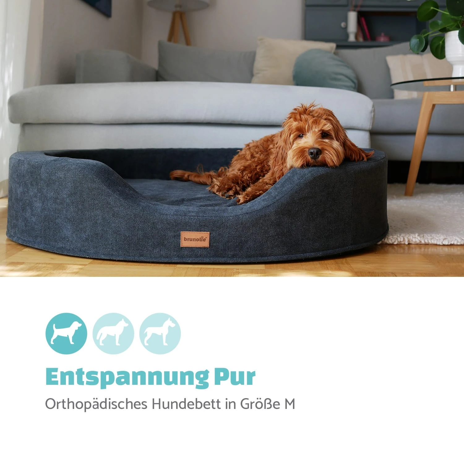 Lotte Hundebett Waschbar Orthopädisch Rutschfest Atmungsaktiv Größe M 4 Lotte Hundebett Waschbar Orthopädisch Rutschfest Atmungsaktiv Größe M – Bild 2