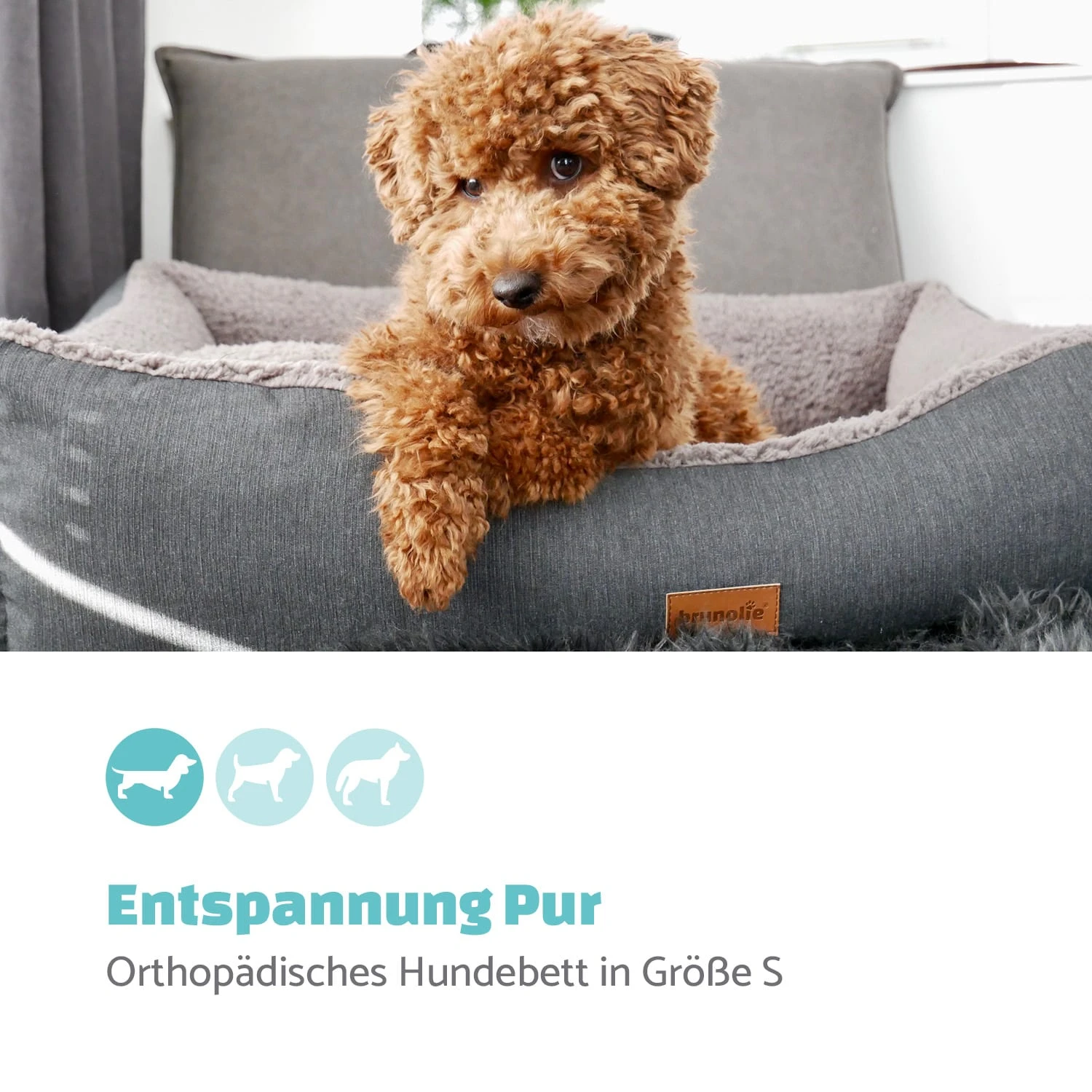 Emma Hundebett Hundekorb | Waschbar | Rutschfest | Atmungsaktiv | Wendematratze | Kissen | Größe S (67 X 20 X 59 Cm) 4 Emma Hundebett Hundekorb | Waschbar | Rutschfest | Atmungsaktiv | Wendematratze | Kissen | Größe S (67 X 20 X 59 Cm) – Bild 2