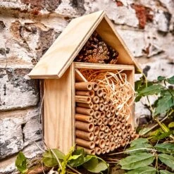 Bambusröhrchen 70 Stück Je 10 Cm Länge Holzfarben 13 Bambusröhrchen 70 Stück Je 10 Cm Länge Holzfarben -Online Gartenbedarf 10038136 yy 0005 logo