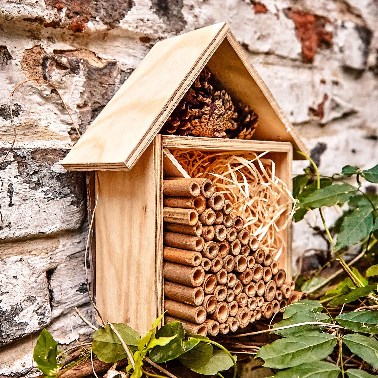 Bambusröhrchen 70 Stück Je 10 Cm Länge Holzfarben 7 Bambusröhrchen 70 Stück Je 10 Cm Länge Holzfarben – Bild 5