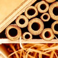 Bambusröhrchen 70 Stück Je 15 Cm Länge Holzfarben 14 Bambusröhrchen 70 Stück Je 15 Cm Länge Holzfarben -Online Gartenbedarf 10038148 yy 0006 logo