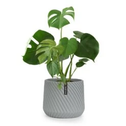 Heusden Blumentopf Polystone Pflanzenfreundlich Handgemacht